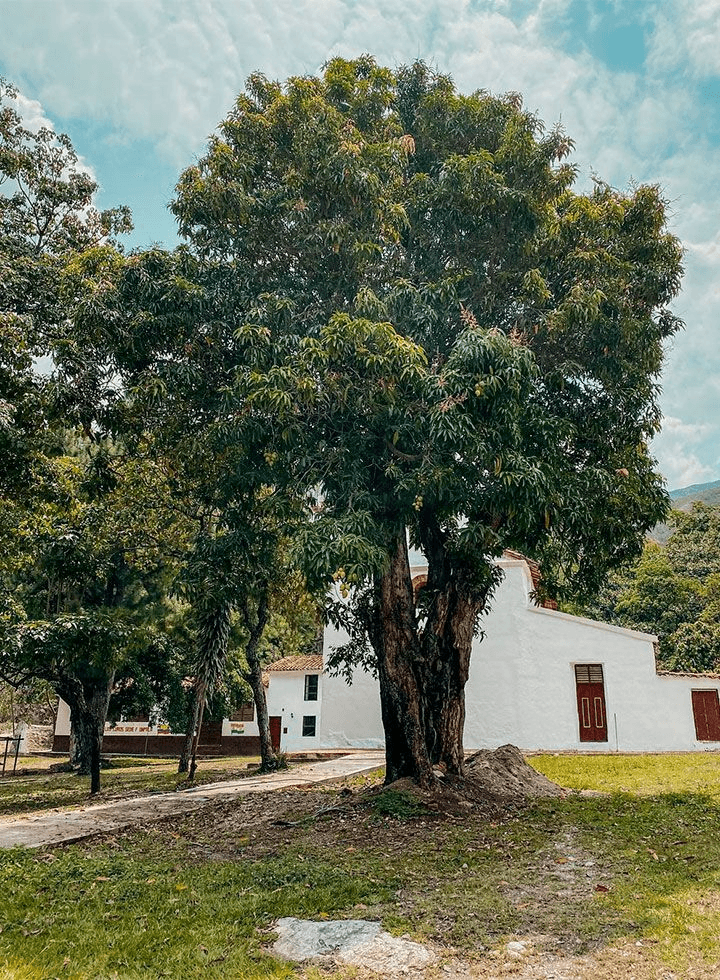 Todo